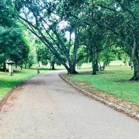 فندق مبيت وإفطار Holidays Lisboa